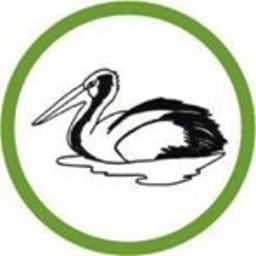 Woy Woy Peninsula Netball Association Logo